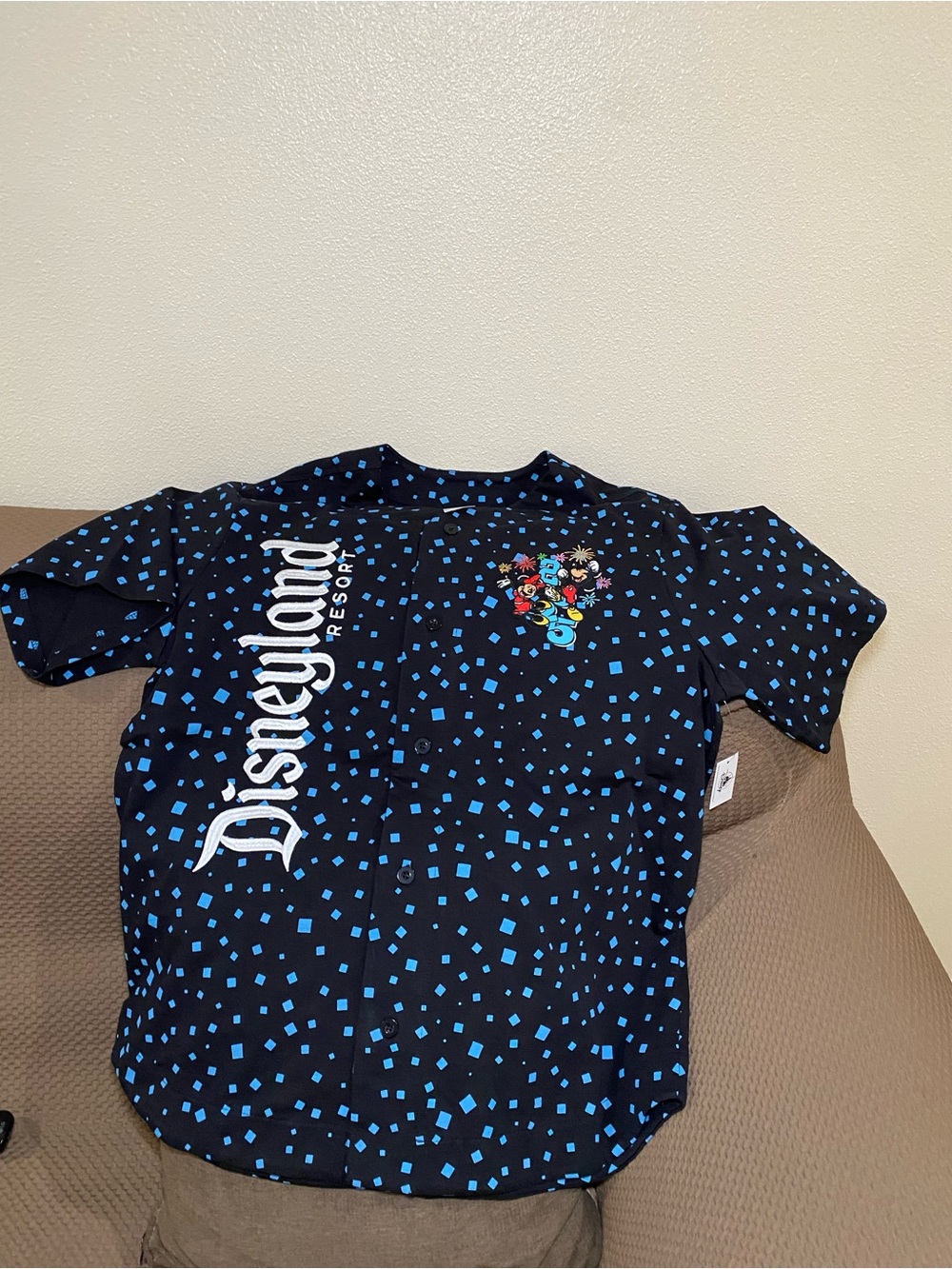 Disneyland Resort Baseball Jersey Shirt Top 2025 Mickey and Friends L/Large NEW